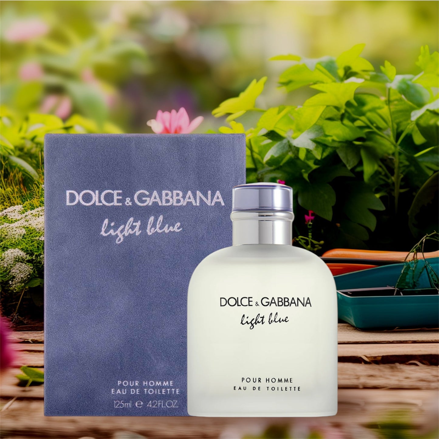 Dolce & Gabbana Light Blue – Replica